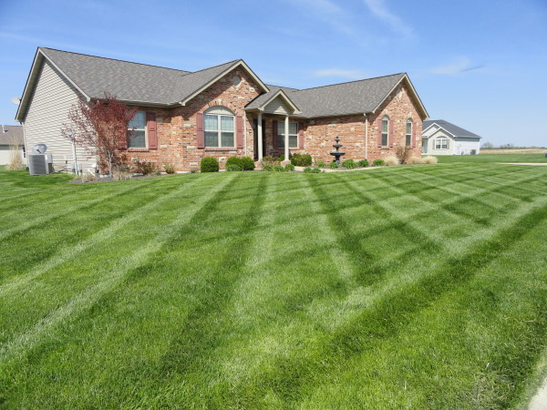 Lawn Care