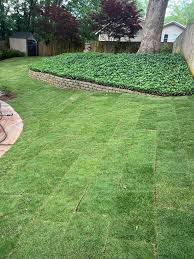 Sod Installation